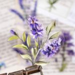 H6ae9a7ef320d42e29524086b6432c1e