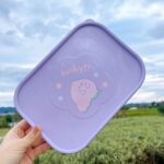 H463a58f96622408b953db865f324c41