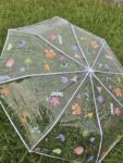 Transparent Umbrella