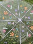 Transparent Umbrella