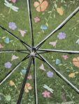 Transparent Umbrella