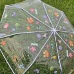 Transparent Umbrella