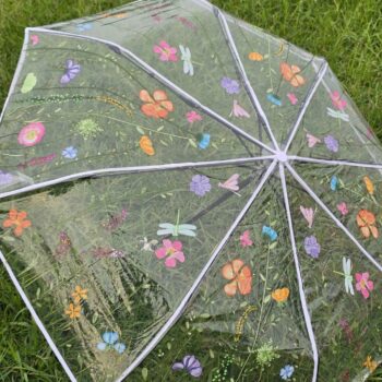 Transparent Umbrella